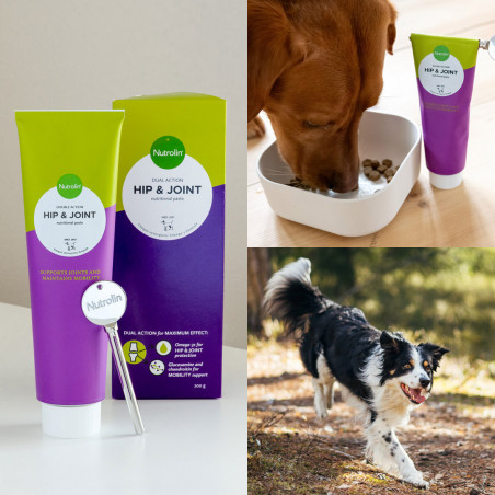 Nutrolin® Hip & Joint paste for dogs
