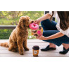 P.L.A.Y.'s Pup Cup Café Doughboy Donut toy
