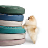 Starfire's Luxury blue oval bed for dogs | Soft & squashy safe filling